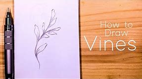 How to Draw Leaf Vines : Step by Step for Beginners