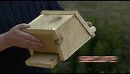 Build a bat box & help give nature a home