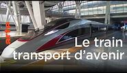 Le train : transport d'avenir - Le Dessous des cartes | ARTE