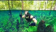 Searching for Treasure in FLOODED Forest Underwater!! (RARE Opportunity)