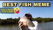 Have You Seen This Funny Fish Video? | Fish Memes