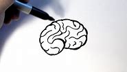 How to Draw a Brain
