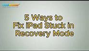 How to Fix iPad Stuck in Recovery Mode in 5 Ways
