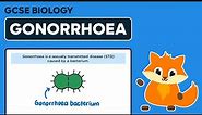 Gonorrhoea - Bacterial Diseases - GCSE Biology