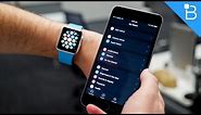 Apple Watch UI Explained