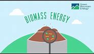 Renewable Energy 101: How Does Biomass Energy Work?