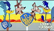 Looney Tuesdays | Coyote Will Never Give Up | Looney Tunes | WB Kids