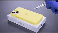 iPhone 13 Mini Unboxing and Camera Test! - ASMR
