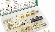 103pcs Heavy Duty Picture Hangers Kit Hardware 10-100lbs, Picture Hooks, Professional Picture Hanging Hooks with Nails for Picture Frame,Office Pictures, Canvas, Clock Q-O-010-BOX