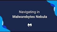 Navigating in Malwarebytes Nebula