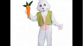 Men's Adult Deluxe Easter Bunny Rabbit Costume Mascot Head Reversible Vest & Carrot Peter Cottontail