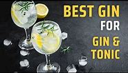 Best Gin Brands for Making Gin and Tonic