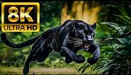 HUNTER ANIMALS - 8K (60FPS) ULTRA HD - With Nature Sounds (Colorfully Dynamic)