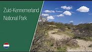 Zuid-Kennemerland National Park | Travel the Netherlands | Fern + Forest
