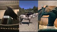 Funny Relatable Equestrian TikToks pt 2