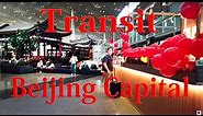 【Airport Tour】 2023 How to Transit at Beijing Capital Airport (PEK)