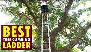 Best Tree Climbing Ladder | Agriculture Ladder