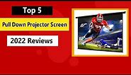 Best Pull Down Projector Screen in 2023