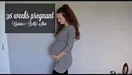 36 WEEKS PREGNANT! | Group B Strep Test, Dilated, + Update