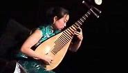 Liu Fang pipa solo "The Ambush", traditional Chinese music