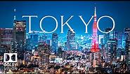 Tokyo, Japan 8K Ultra HD HDR - The Neon City (60 FPS)