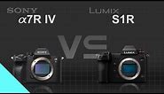 Sony alpha a7R IV vs Panasonic Lumix DC-S1R