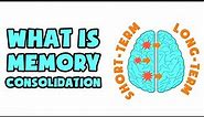 What is Memory Consolidation | Explained in 2 min