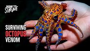 The Top 5 Most Venomous Octopuses