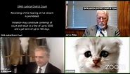 Filter turns lawyer into cat during Zoom hearing