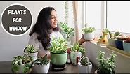 Best House Plants to Grow on a Window Sill | Plants for Window Garden