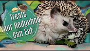 Hedgehog Diet: Treats & Dangerous Foods