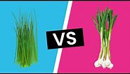 Chives vs Scallions - What's the Difference?