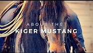 About The Kiger Mustang | DiscoverTheHorse