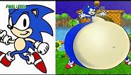 Sonic Characters Fat Version