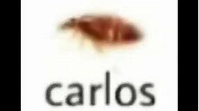 Carlos the roach - meme