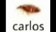 Carlos the roach - meme