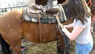 How to western saddle your horse