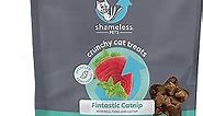 Shameless Pets Crunchy Cat Treats - Catnip Treats for Cats with Digestive Support, Kitten Treats with Real Ingredients, Natural & Healthy Flavored Feline Snacks - Fintastic Catnip, 1-Pk