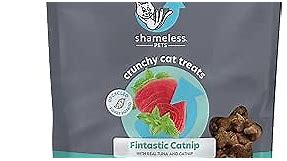 Shameless Pets Crunchy Cat Treats - Catnip Treats for Cats with Digestive Support, Kitten Treats with Real Ingredients, Natural & Healthy Flavored Feline Snacks - Fintastic Catnip, 1-Pk