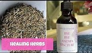 Herbs for Healing Fibroids and Other Womb Issues