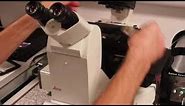 Leica DMi8 widefield microscope tutorial