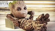 Guardians of The Galaxy Vol.2 | Baby Groot No.1 Cute!