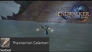 Final Fantasy XIV - Thavnarian Calamari Fishing Spot
