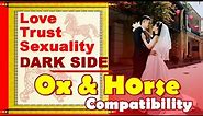 Ox and Horse Compatibility in Love, Life, Trust and Intimacy | Ox-Horse Chinese Zodiac Compatibility