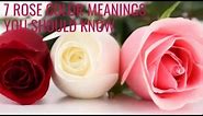 7 Rose Color Meanings You Should Know