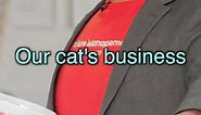When your cat is a business man