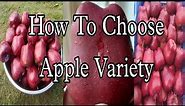 How To Choose Apple Variety