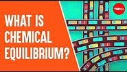 What is chemical equilibrium? - George Zaidan and Charles Morton