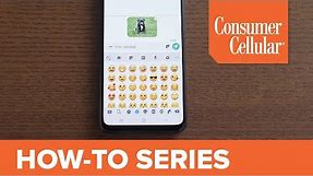 Samsung Galaxy A20: Adding Photos and Emojis to Text Messages (8 of 16) | Consumer Cellular