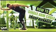 How To Do A SINGLE ARM CABLE TRICEP KICKBACK | Exercise Demonstration Video and Guide